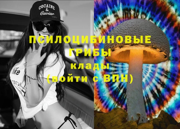 spice Горно-Алтайск