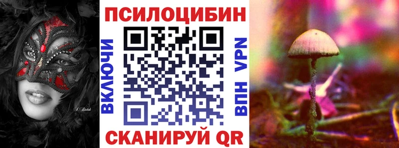 hydra как войти  Макаров  Псилоцибиновые грибы мицелий 